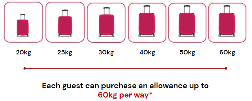 Things you need to know about our checked baggage policy